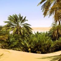 siwa--bahrein-2.jpg