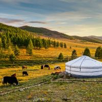 jurte-in-der-mongolei