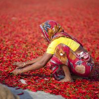 frau-in-bangladesh