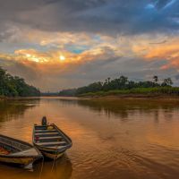 kinabatangan-fluss-800x534