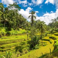 bali,-indonesien-an-einem-sonnigen-tag