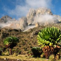 mount-kenya