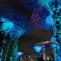 singapur-garden-nacht-sm-(5)-482x600