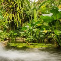 bird-park-kuala-lumpur-800x458