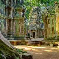 kamb-ta-prohm-temple-800x533