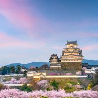 himeji,-japan,-burg-himeji-zur-zeit-der-kirschblüte-im-frühling.-(1)