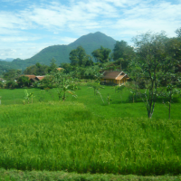 id-java-bandung-pangandaran-lanschaft-sm-800x600