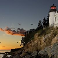 me,-bar-harbor