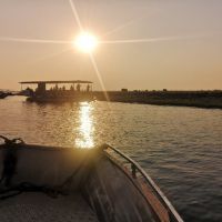 okavango-delta-–-kasane-4