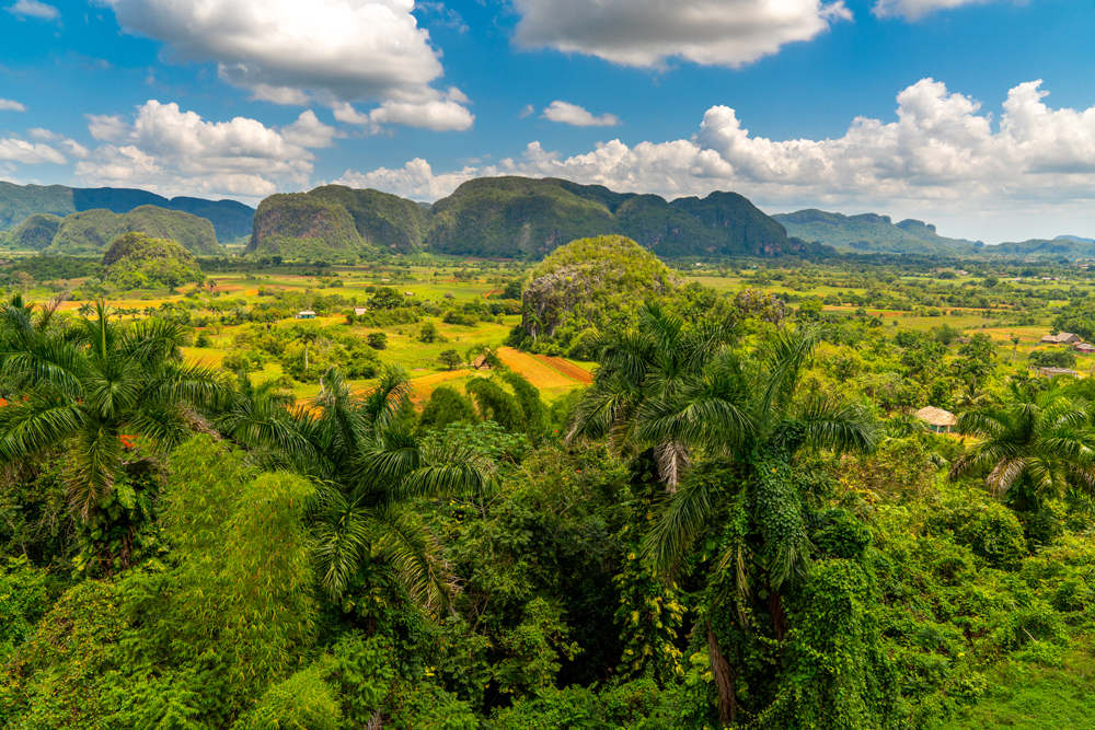 Vinales Tal