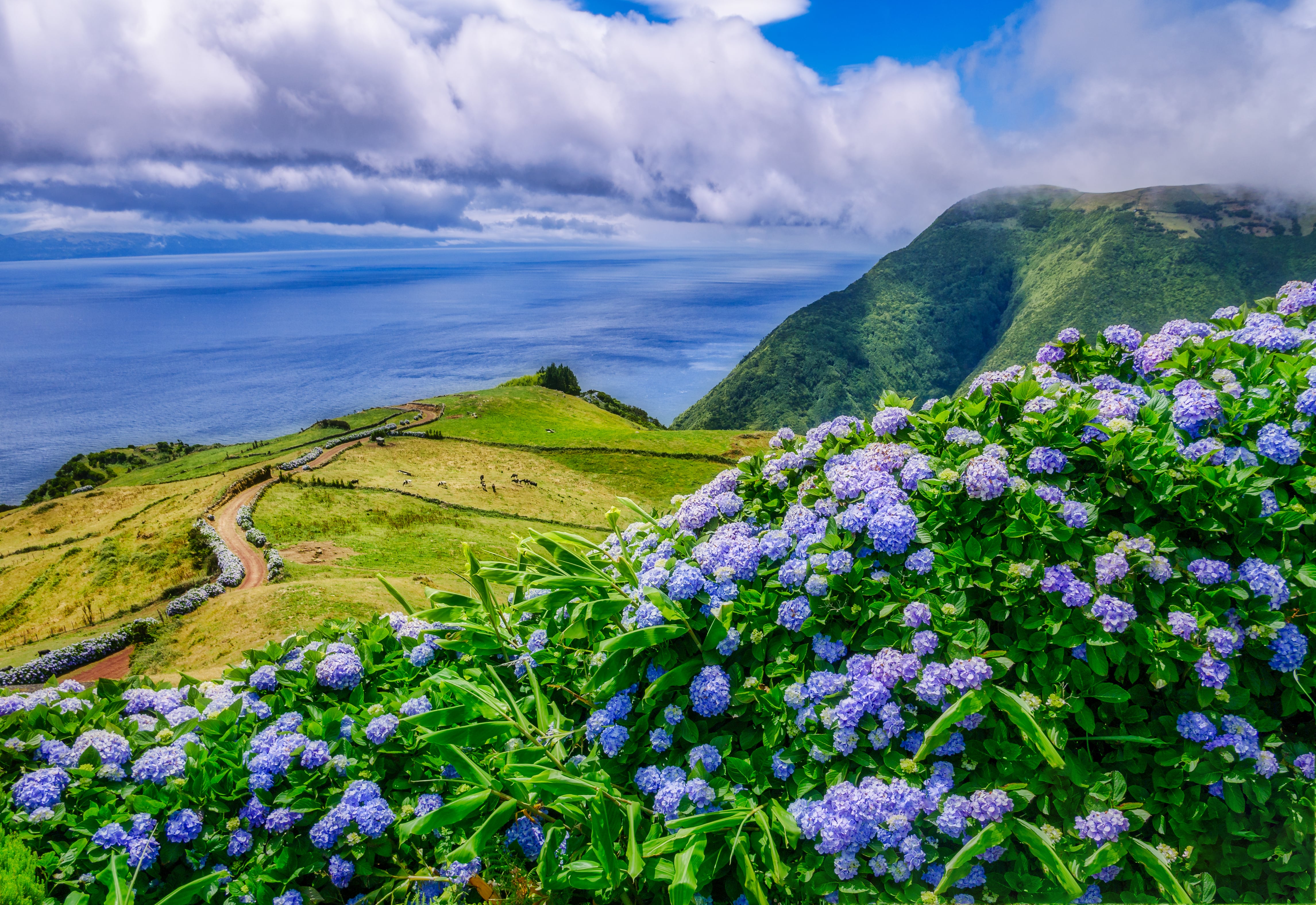 Wandern auf Sao Jorge