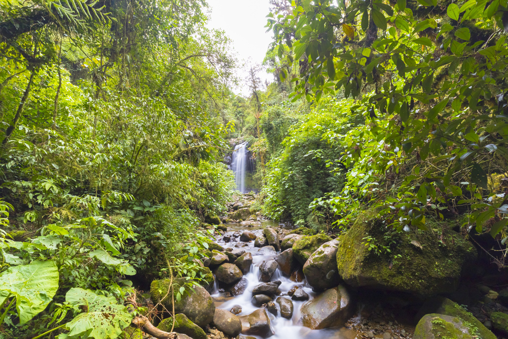 Boquete Wasserfall