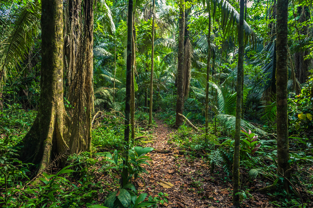 Manu Nationalpark