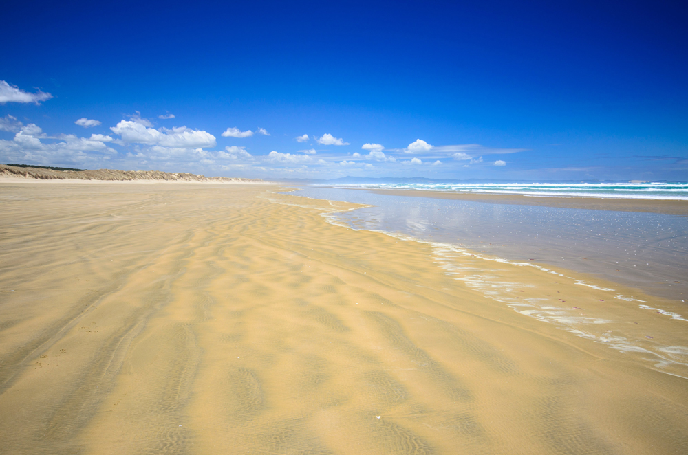 Ninety Miles Beach