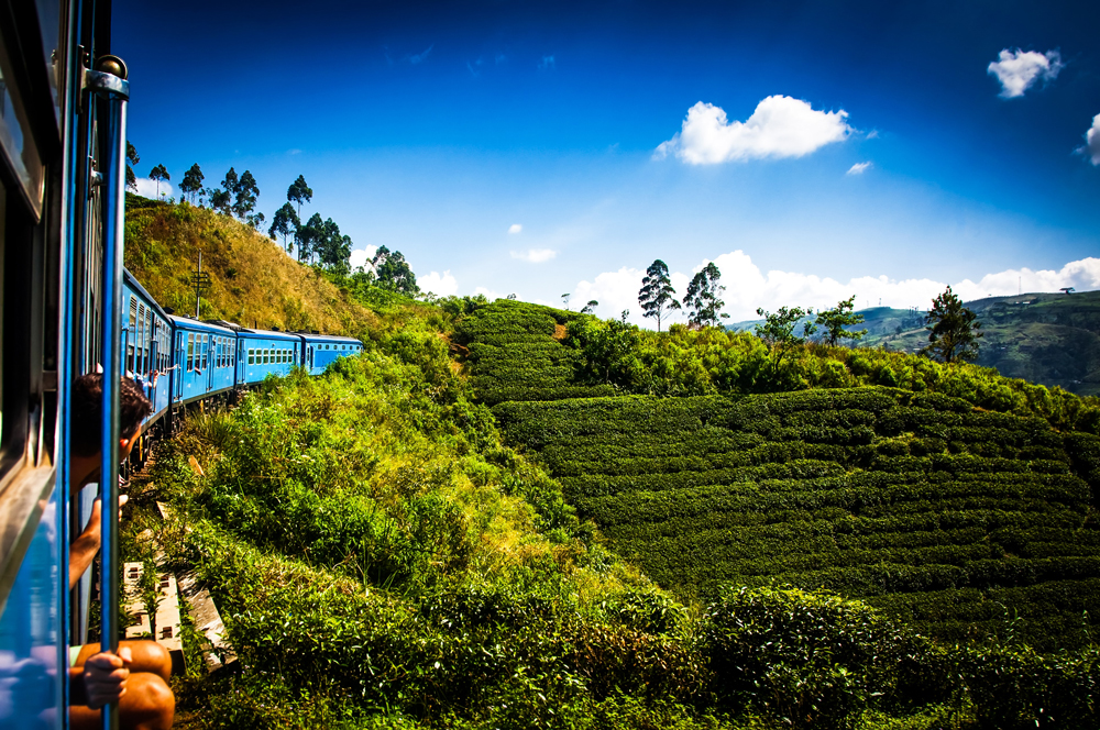 Zug Nuwara Eliya Kandy