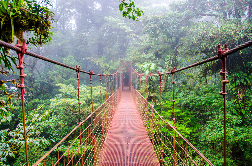 Hängebrücken von Monteverde