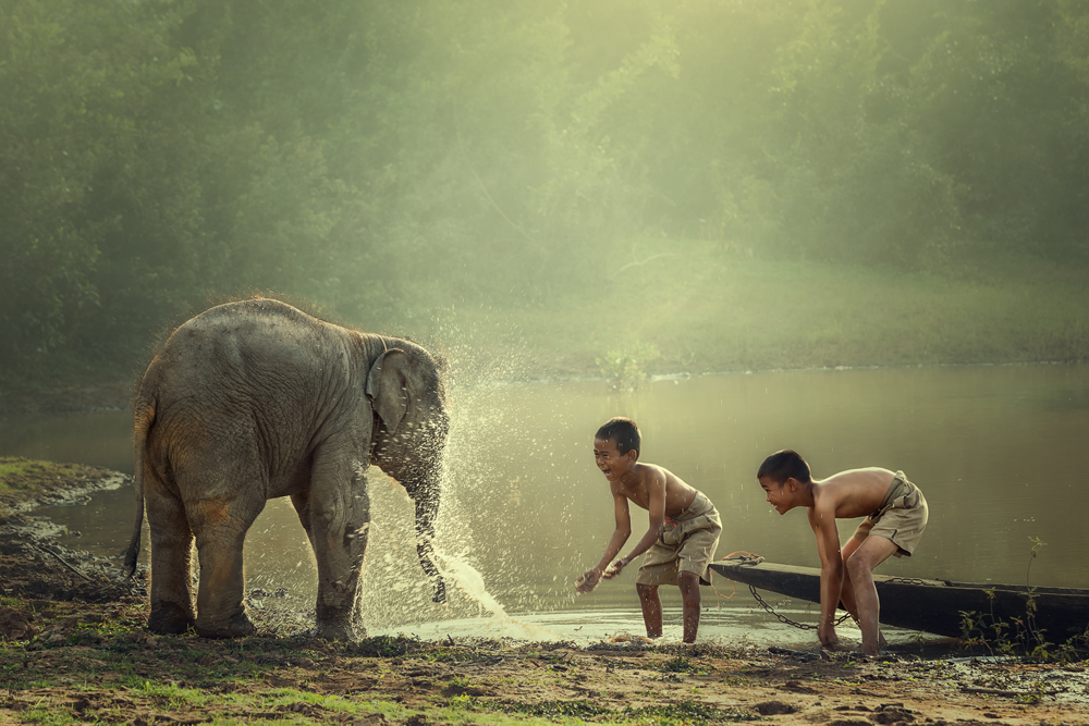 Kinder mit Elefant in Vietnam