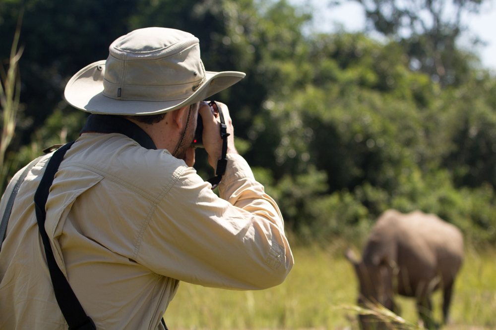 Nashorn Beobachtung