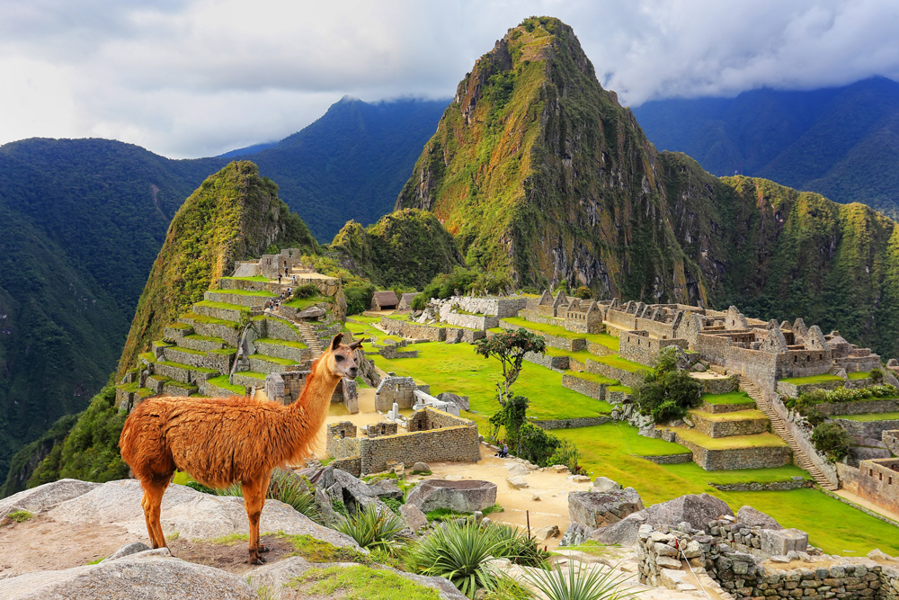 Machu Picchu mit Lama